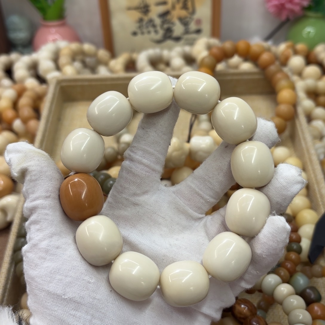 菩提根/象牙果吊坠22干磨微瑕牙果枣福利917