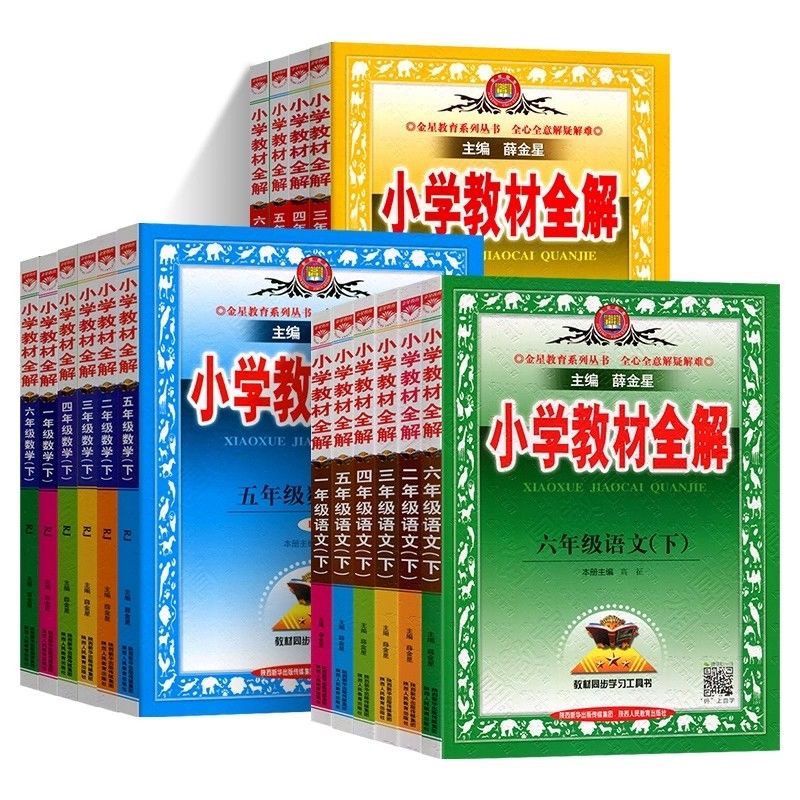 正版保证24年印刷25春小学教材全解下册专拍