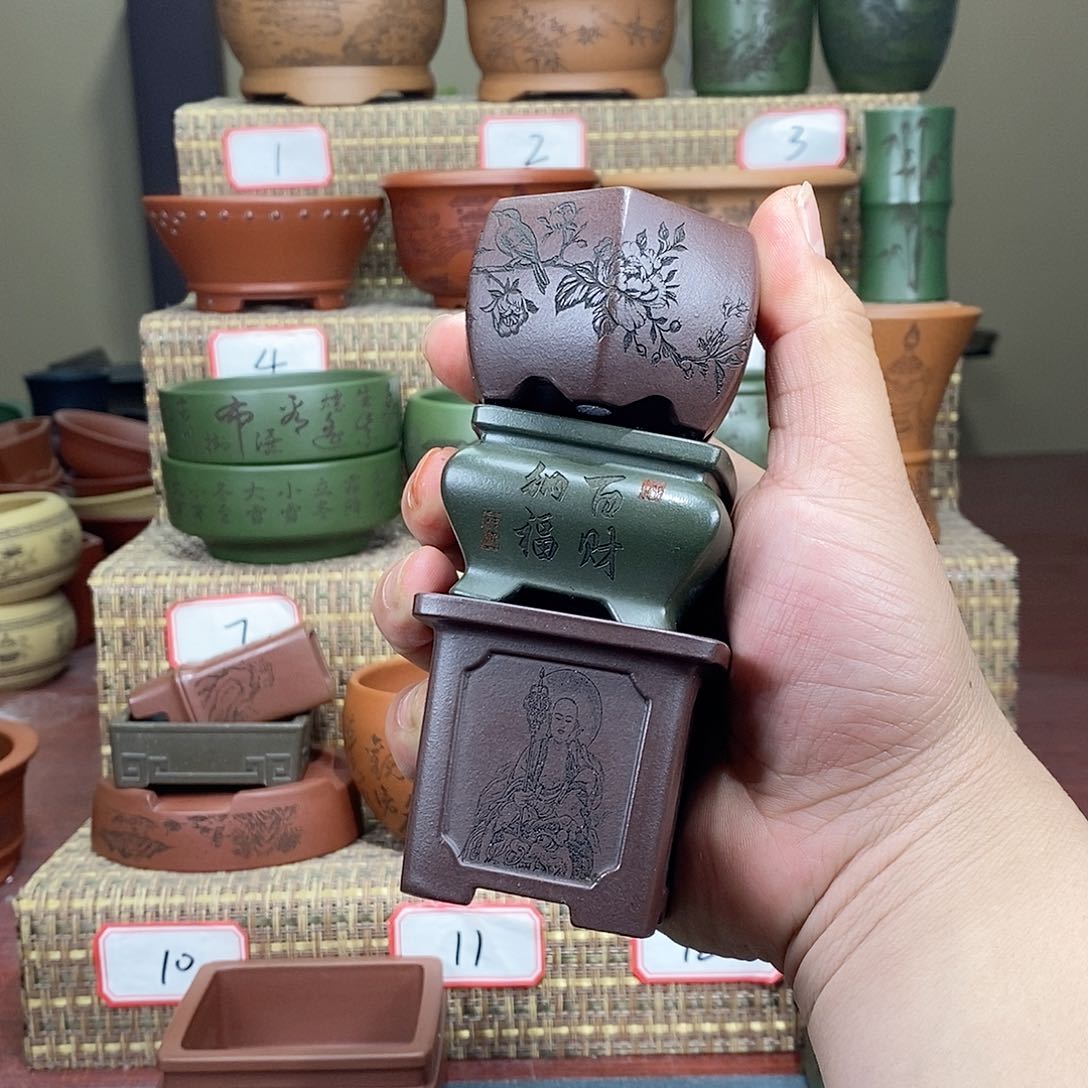 紫砂花盆开**亮我在等他