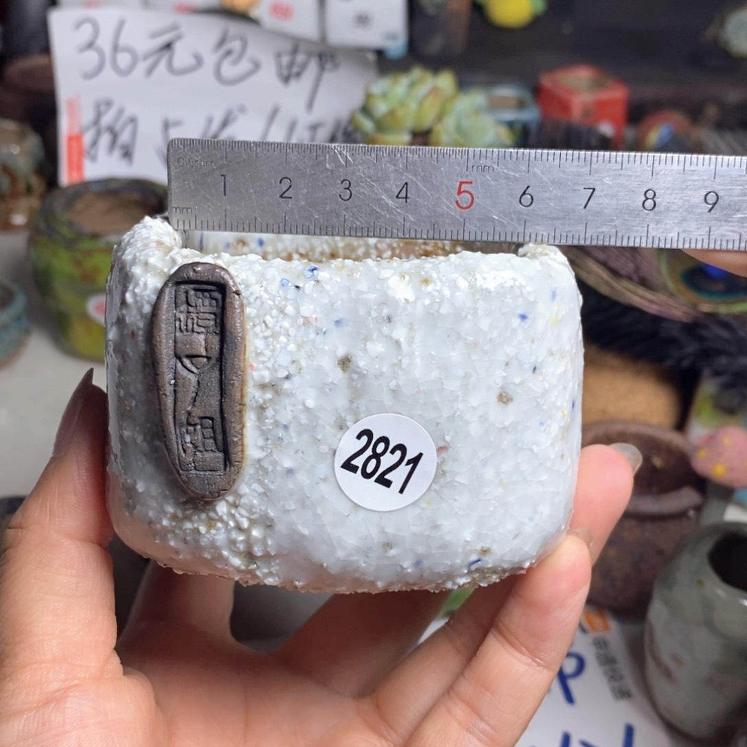 拍5送一个小礼物