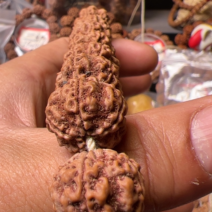 金刚菩提手串17➕始祖梅花超头