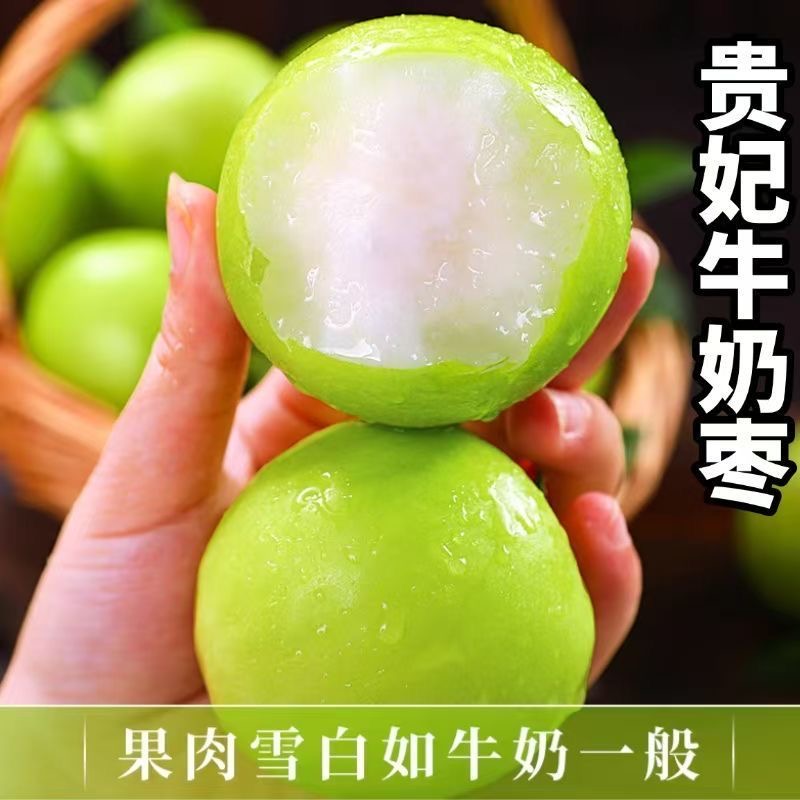 福建贵妃牛奶枣香脆清甜爽口应季水果脆蜜枣青枣新鲜现摘果园直发