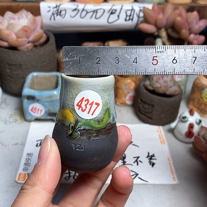 红陶拍5送一个小