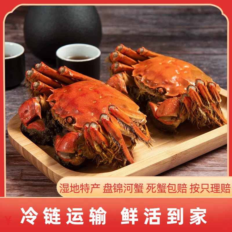 【活蟹】盘锦河蟹  母蟹（1.3-1两）到手2斤-3斤   稻田蟹鲜活到家（20-30只）