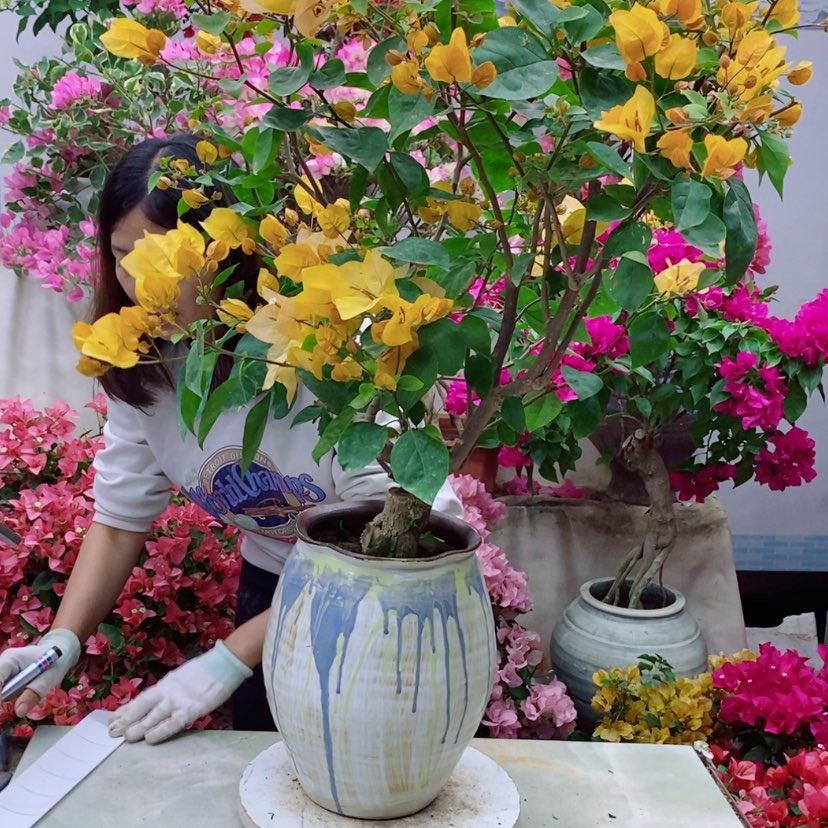 【闪购商品】完全开放