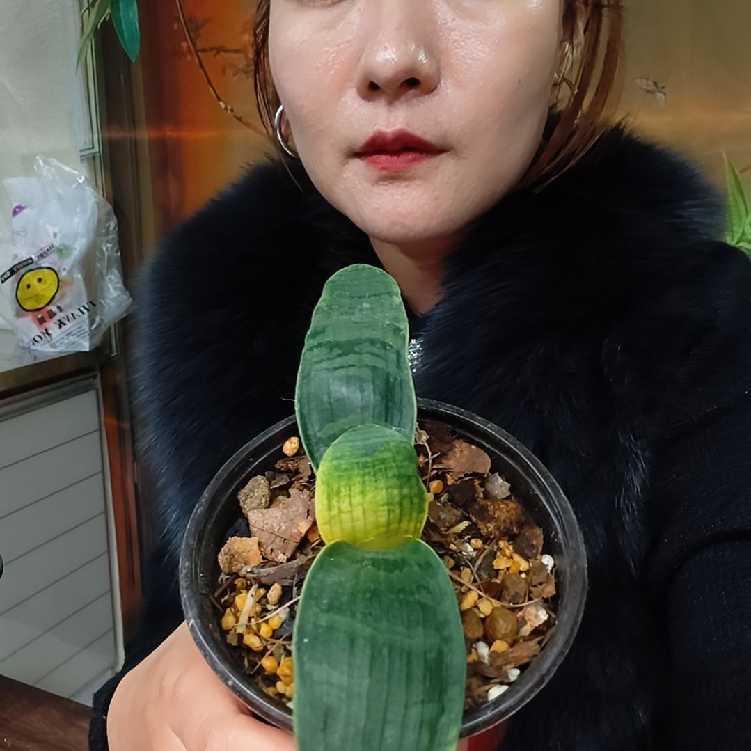 一***刚完全开放1111111111