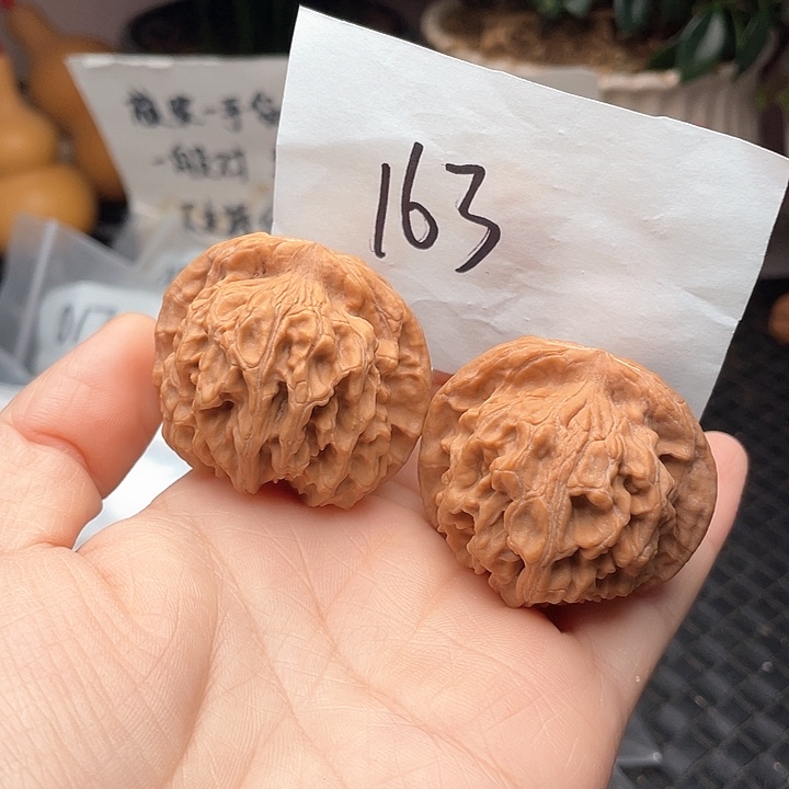 435尺寸白茬天地核桃