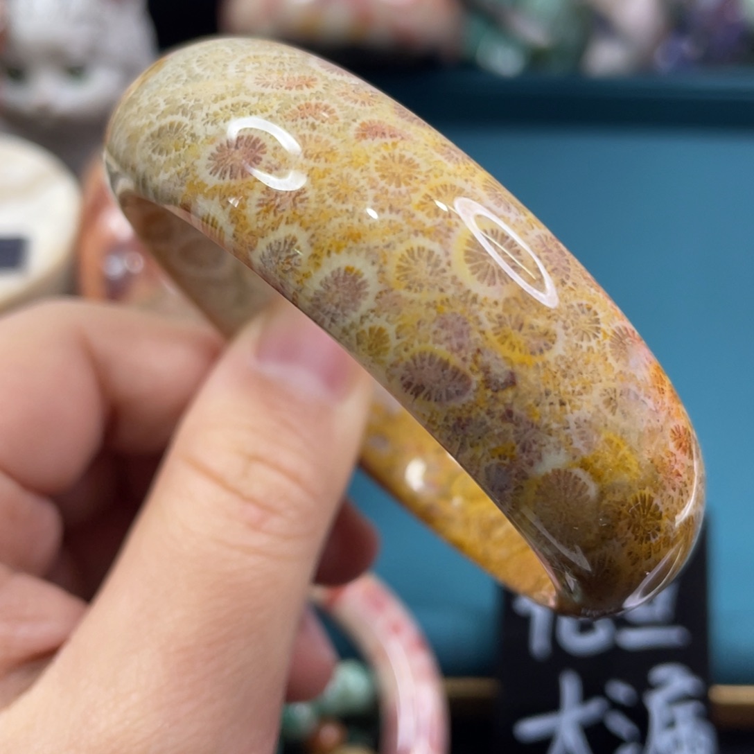 未镶嵌手镯硅化玉