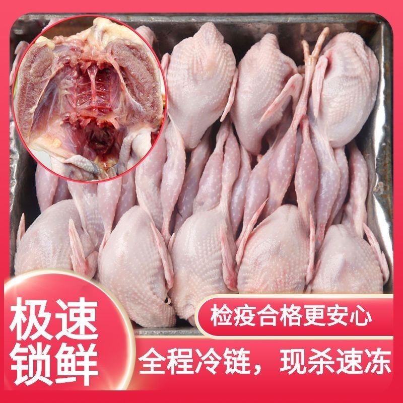 【拍一发10只】优选鹌鹑散养特大号新鲜冷冻白条鹌鹑肉lin