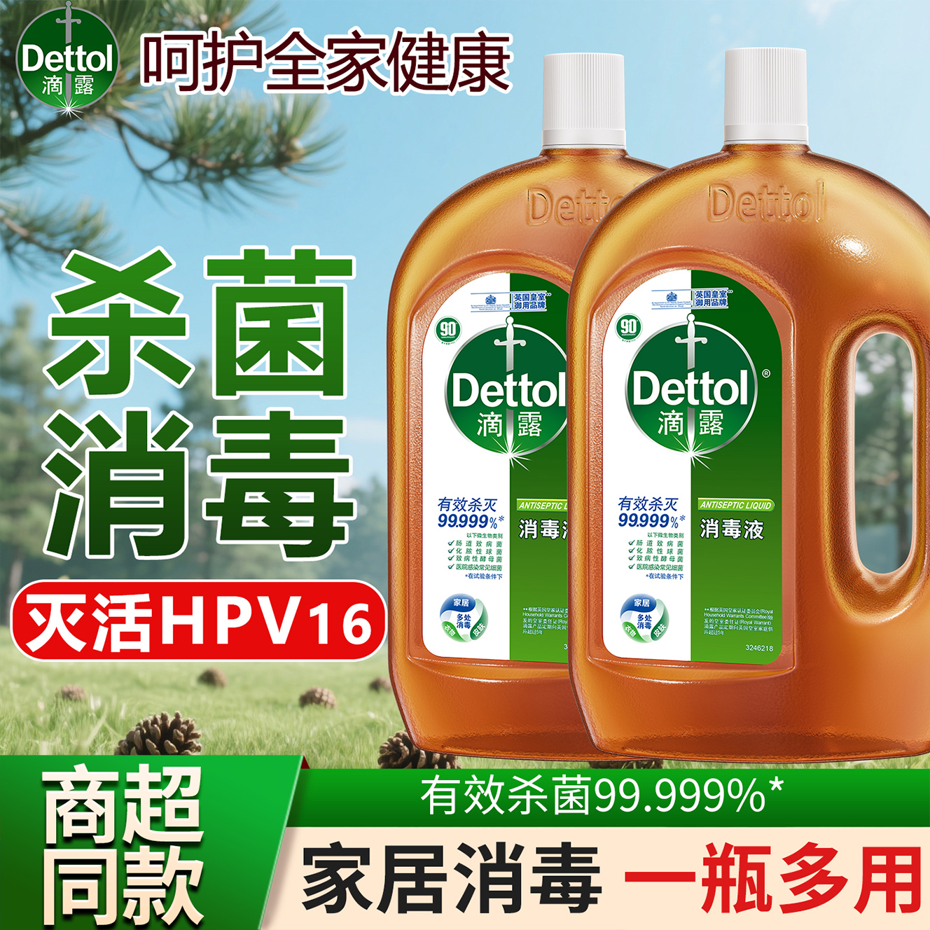Dettol/滴露消毒液家用洗衣服拖地内衣物除菌除螨消毒水官方正品