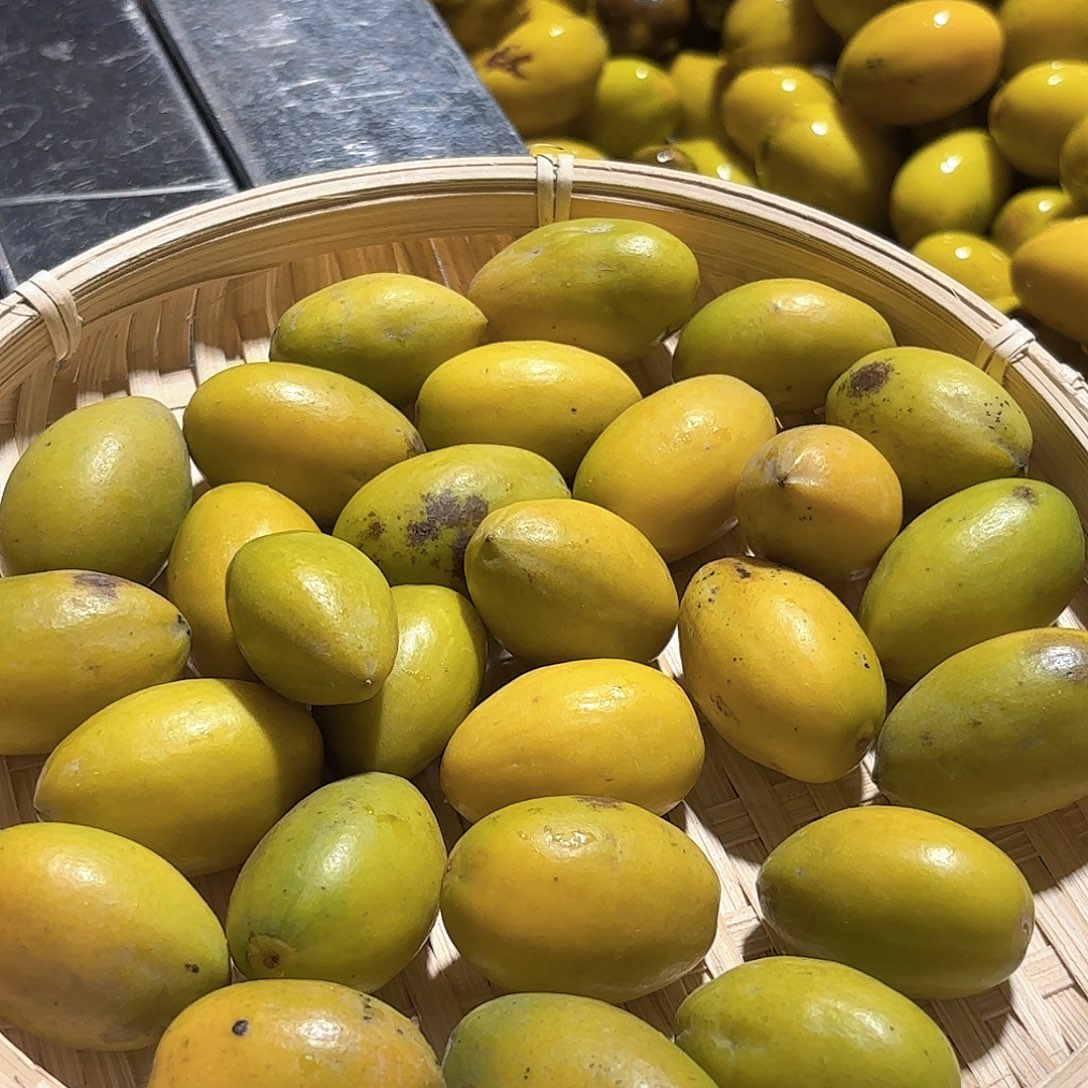 青榄十斤泡酒橄榄