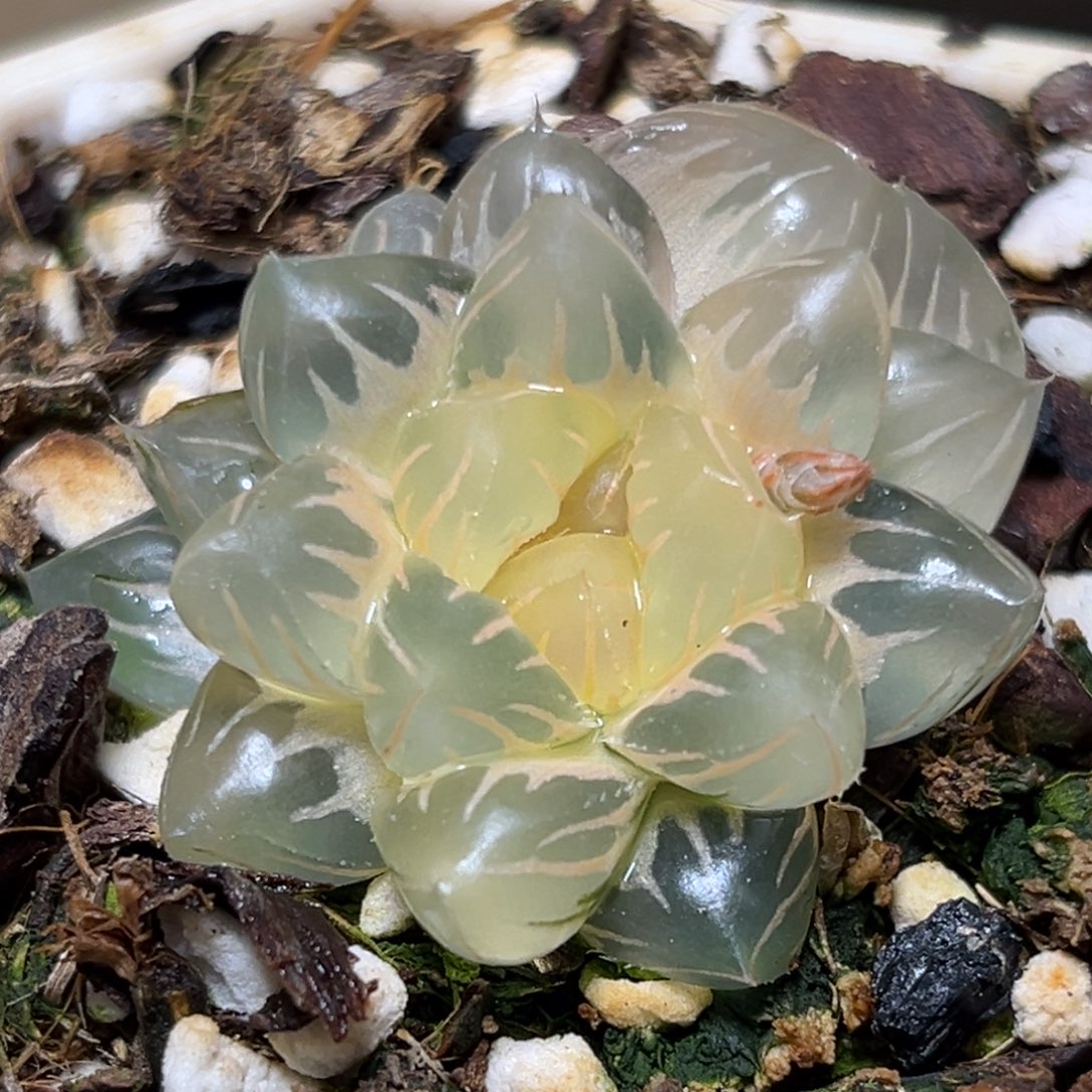 恭喜发财大吉大利0473