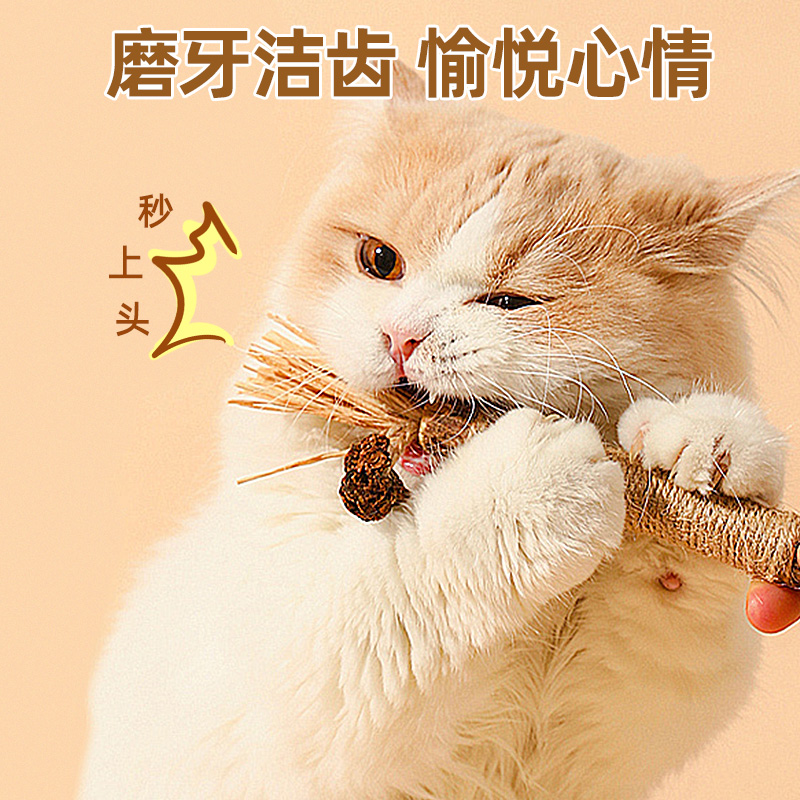 木天蓼猫磨牙棒猫玩具耐咬用品逗猫棒幼猫自嗨解闷猫薄荷小猫大猫