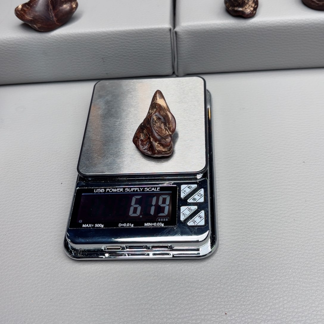 振*文莱文莱文莱文莱