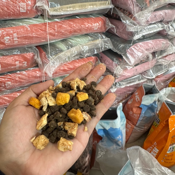 5斤样品发货无谷冻干圆颗粒猫粮全阶段通用成猫幼猫增肥发腮