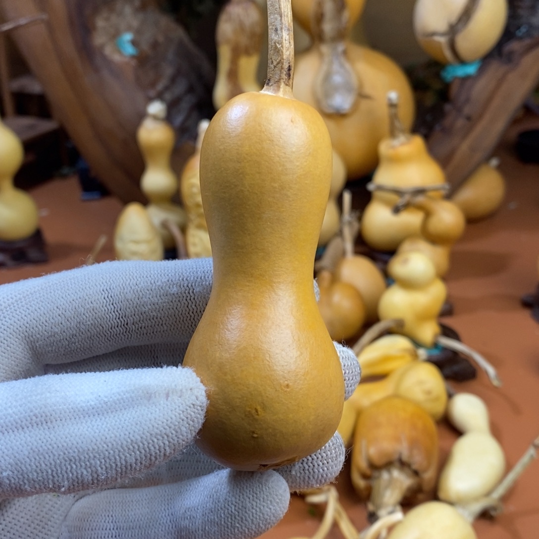 三***少，桂林教练教练教练咯