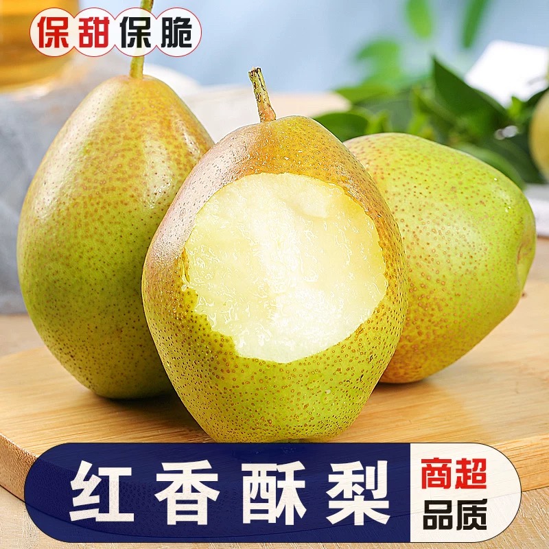 红香酥黎 一斤 香甜可口 新鲜应季水果 顺丰发货 今天拍 明天到 ！