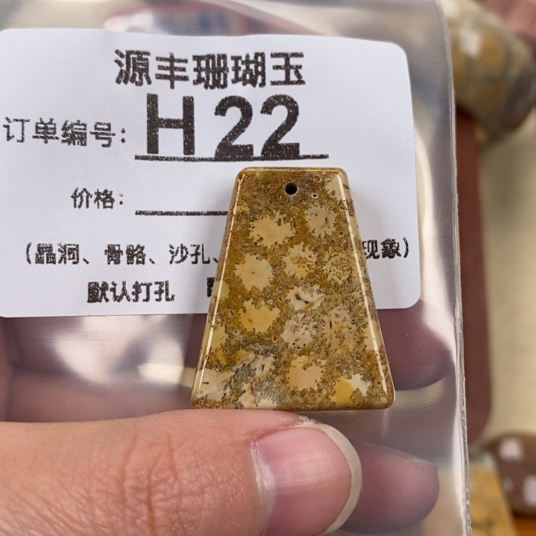 硅化玉颈饰未镶嵌进*中