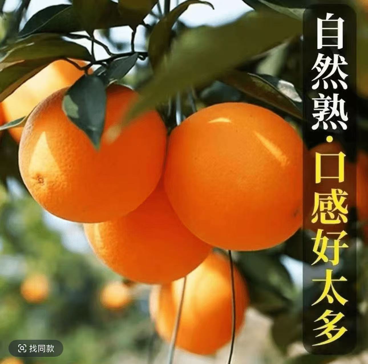 正宗脐橙新鲜现摘多汁香甜产地直发包邮KM1