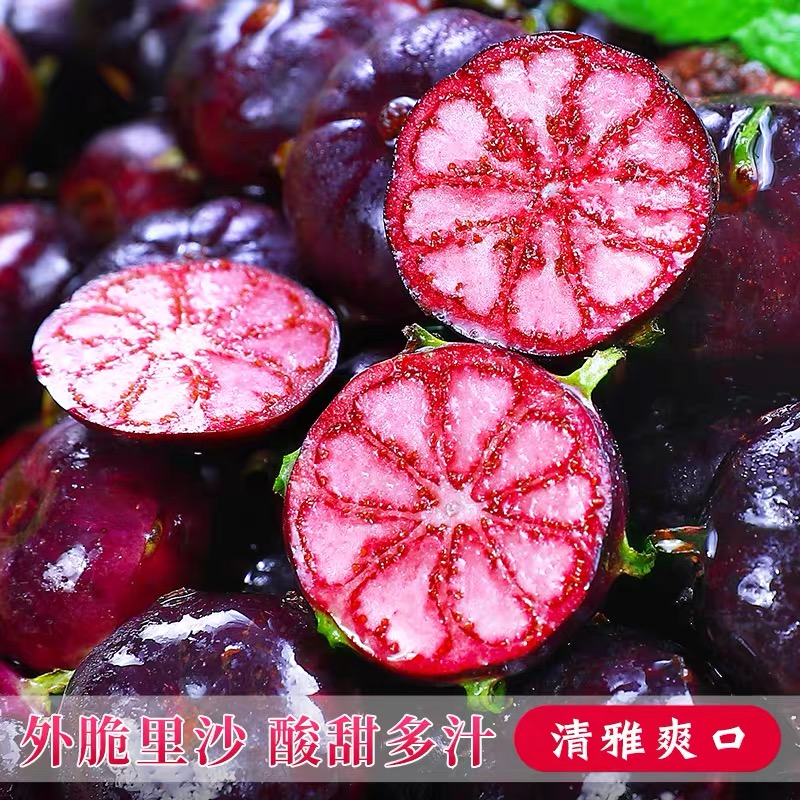 【精品一级果】云南红果参新鲜采摘当季稀有蜘蛛果罕见红果参J