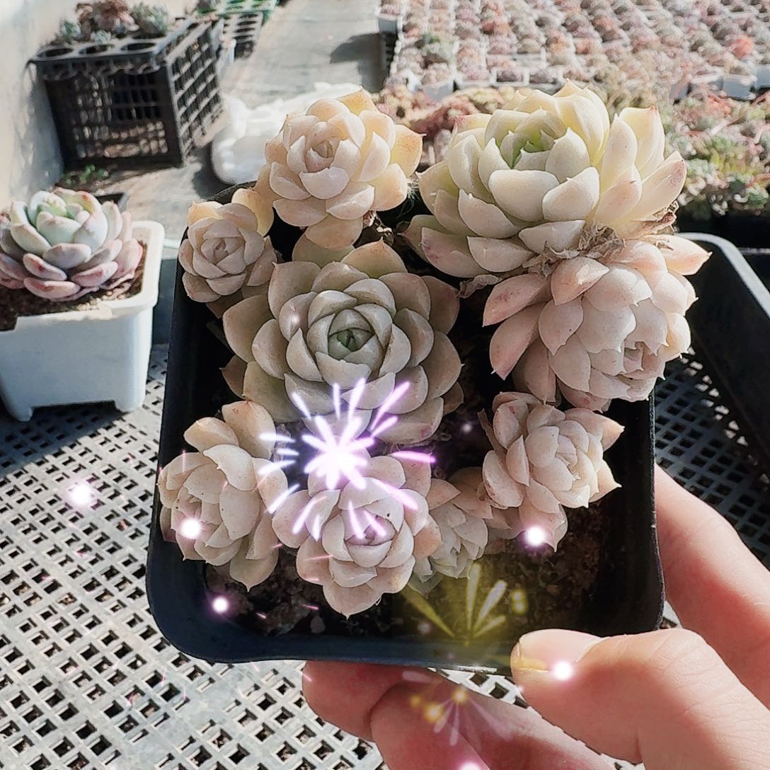 满20包邮零下拍保温箱不包整