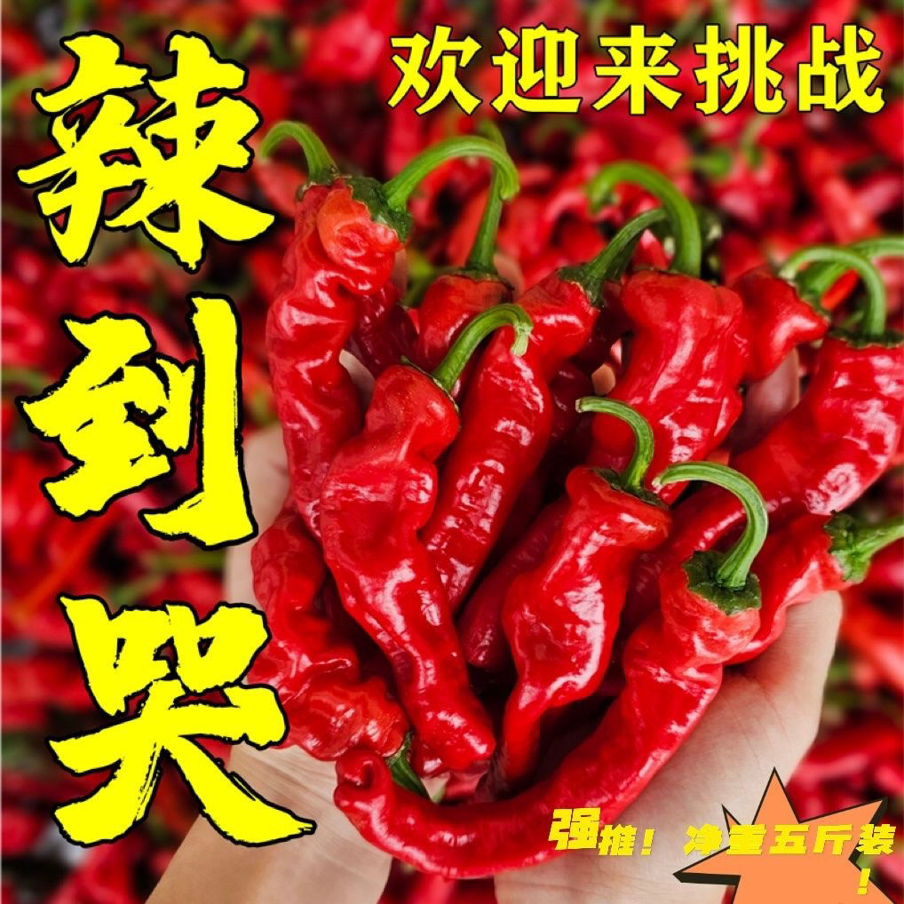 新鲜特辣红皱皮辣椒皮薄香辣籽少做剁椒辣椒酱首选