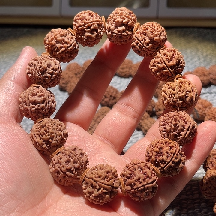 吊坠金刚菩提六瓣原生态22尺寸 闪购2号