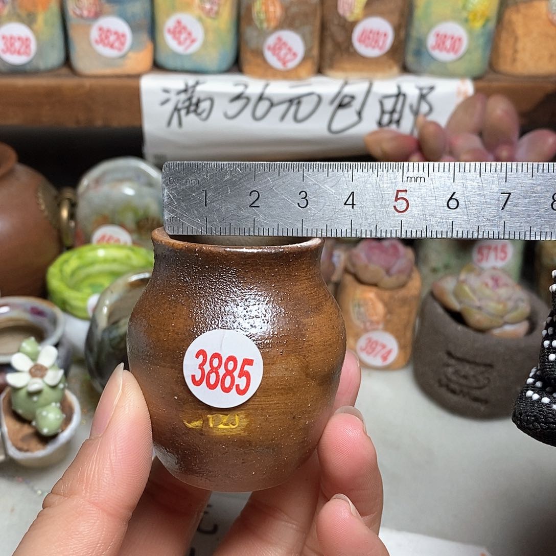 红陶拍5送一个小