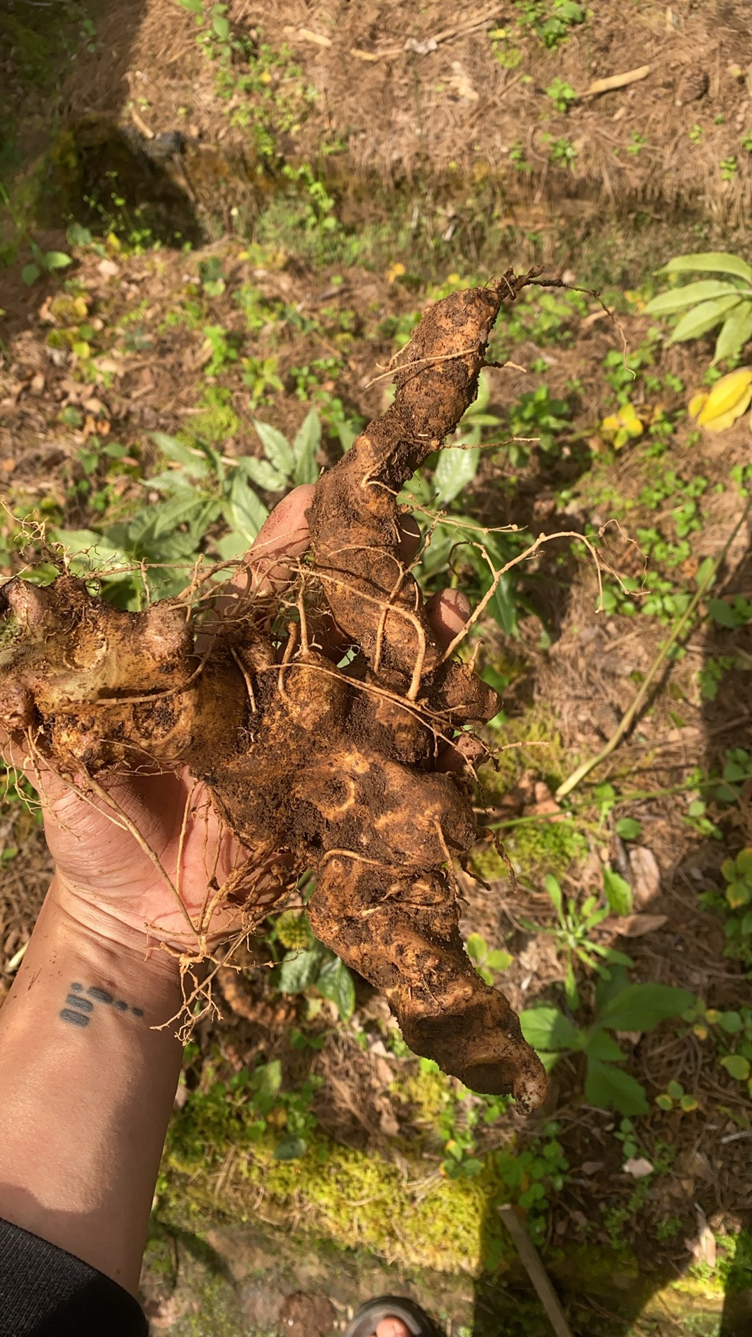 边境奇物好物分享（一物一拍1号链接链接）