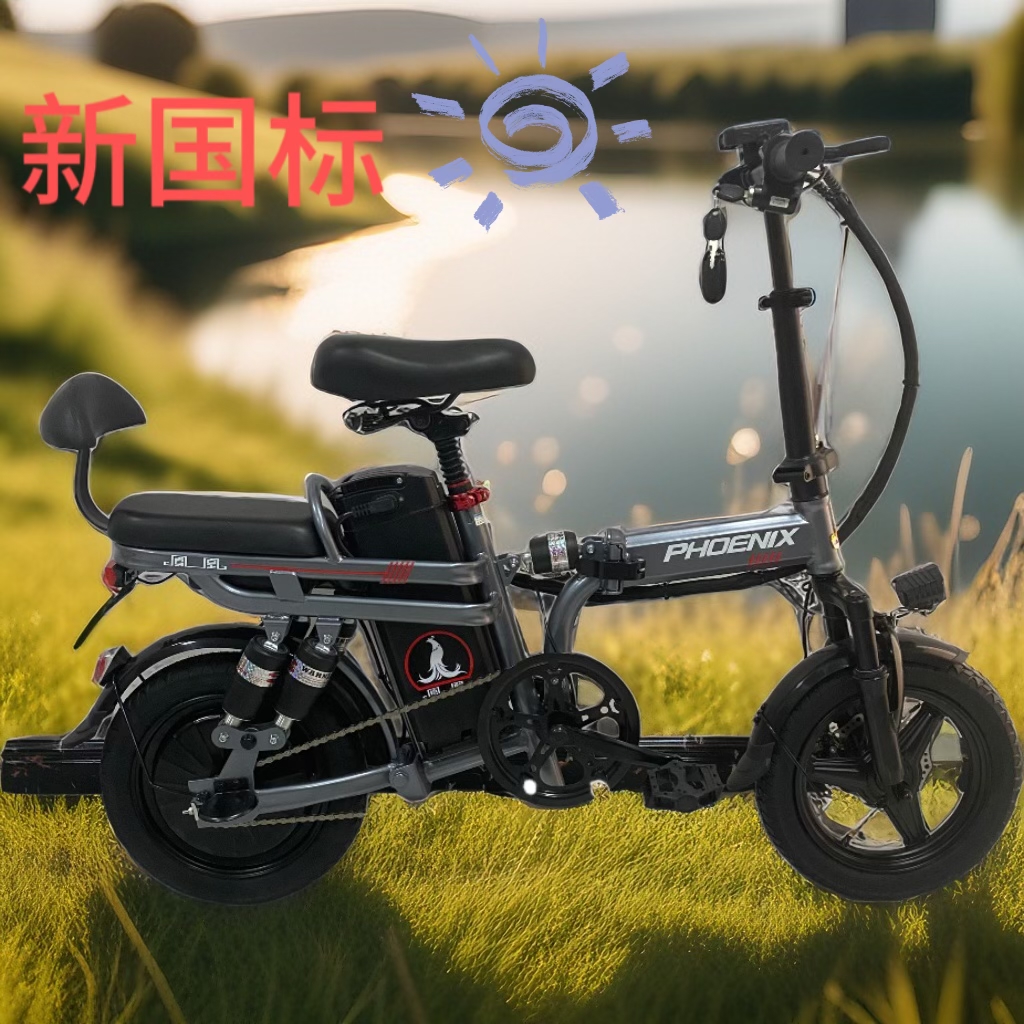 ▲星际灰新国标锂电折叠电动车小型助力自行车