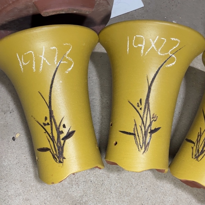 紫砂紫砂众所周知 