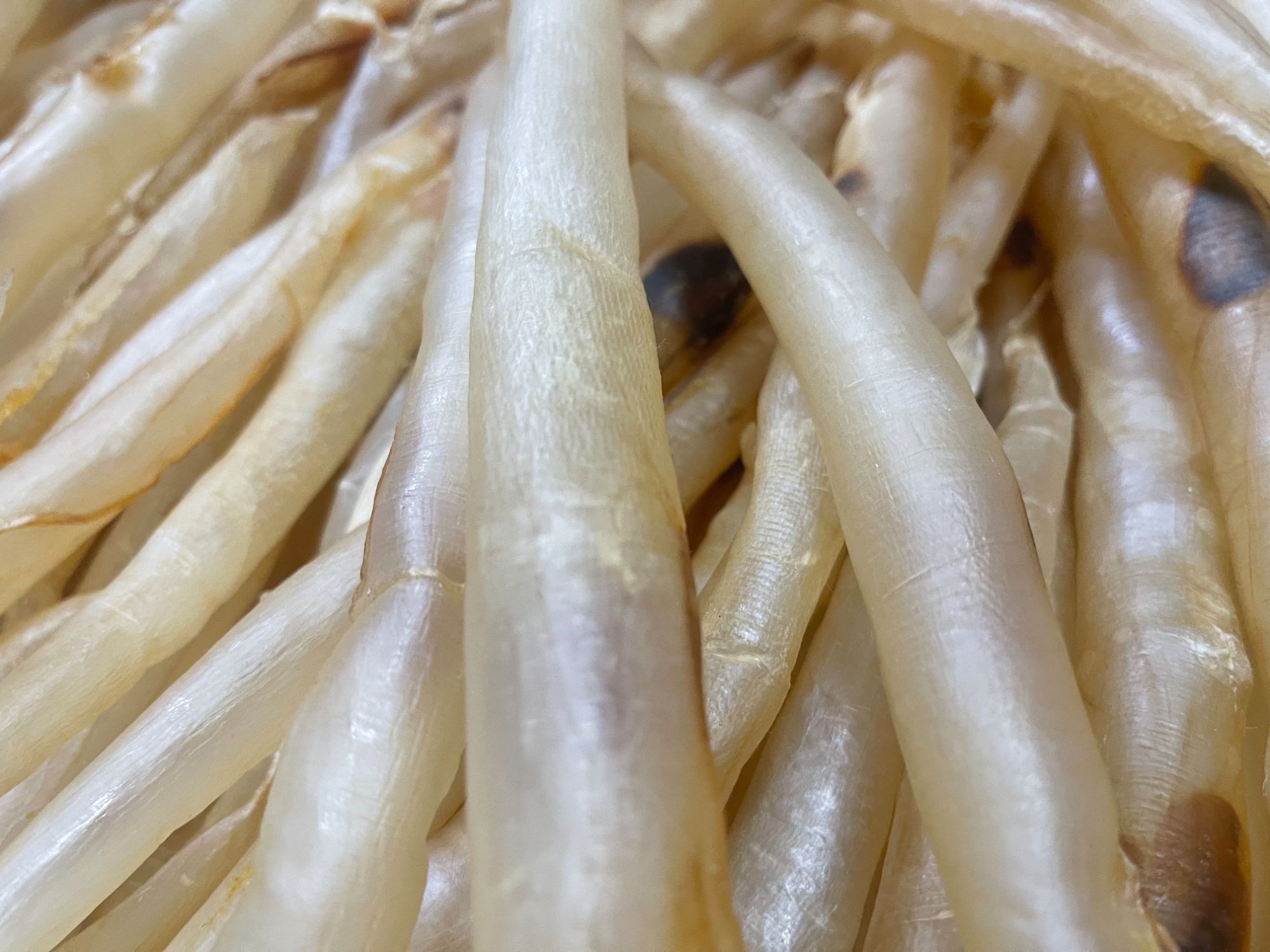 本港野生海钓鳗鱼胶纯天然渔民自晒滋补养生干货 10头