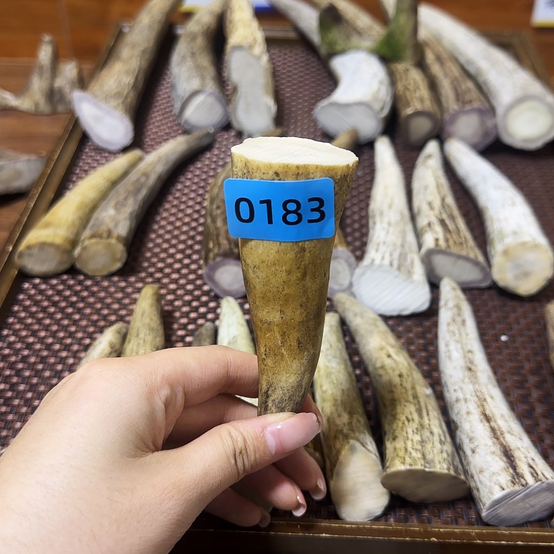 鹿骨手串/手链角尖0183