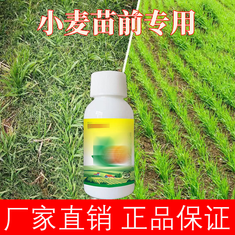 小麦苗前专用【直播专享】