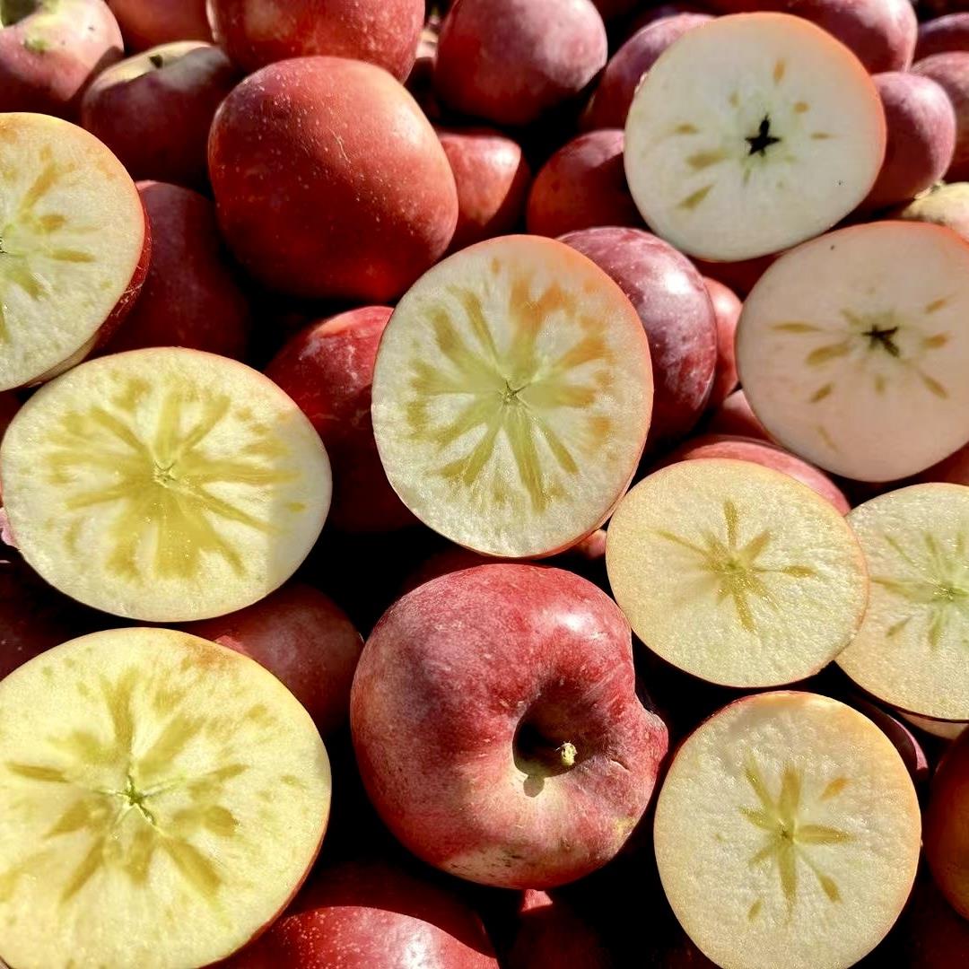 正宗四川盐源丑苹果冰糖心大凉山水果新鲜当季整箱5斤10脆甜礼盒