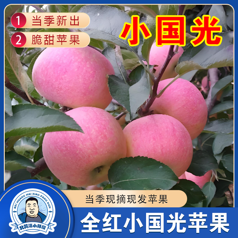 【50-60mm小号国光】小号全红国光大连特产小国光苹果当季现发包邮