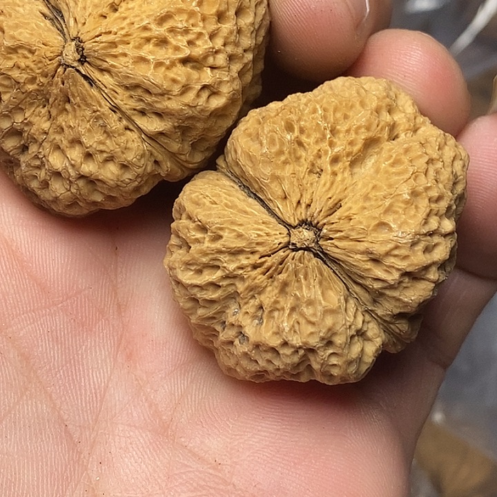 把件文玩核桃志成云铁文玩89