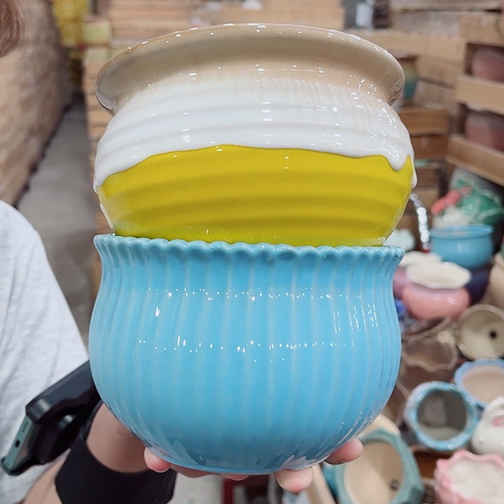 花盆有孔！凑满10元包由发出！