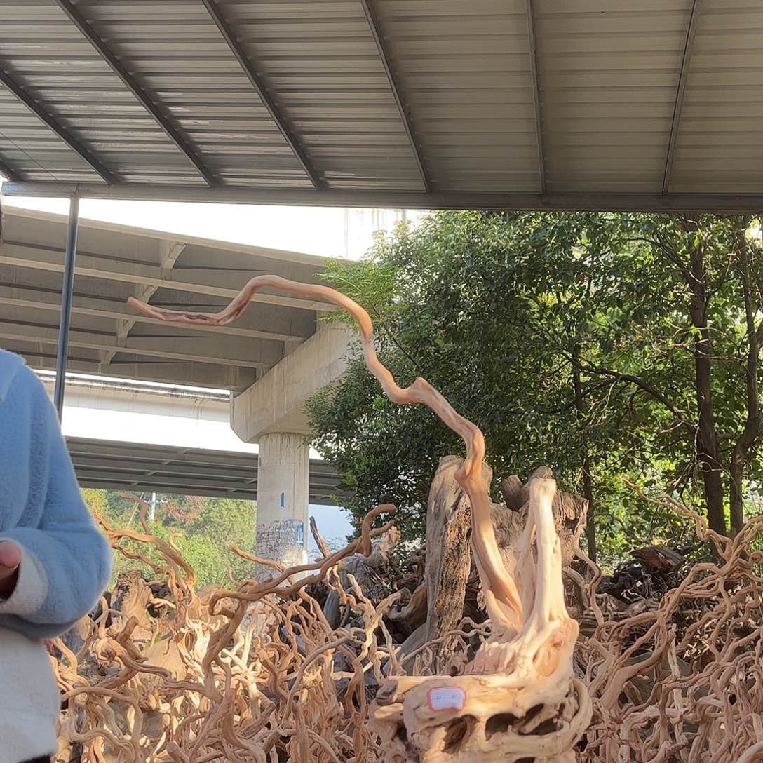 熊***活木168积极积极积极积极了