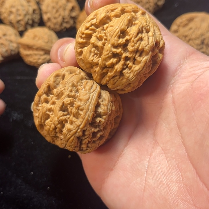 文玩核桃大粗筋45