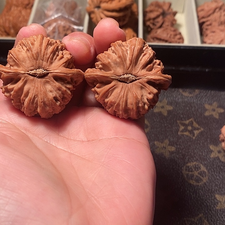 T***3手串/手链核桃41大白