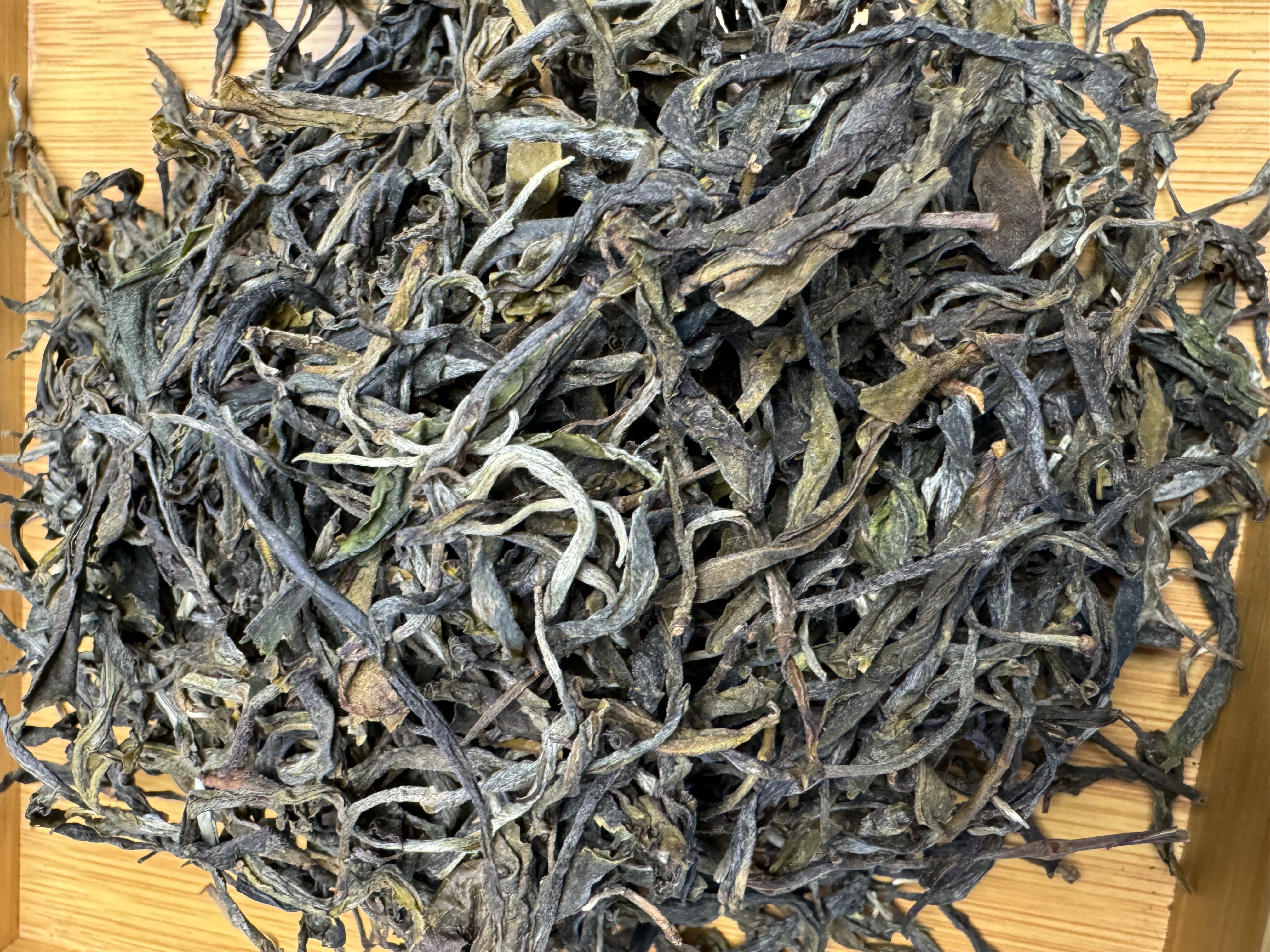 绿水塘一类千年高杆 2025年 头春头采 普洱茶（生茶） 散茶