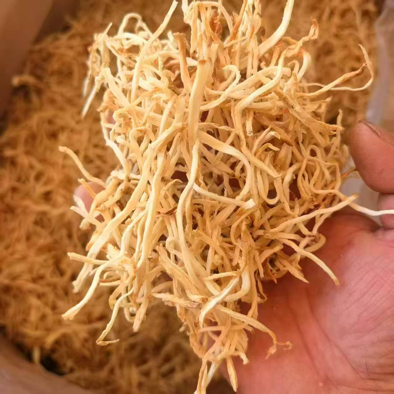 九蒸九晒茶初级农产品