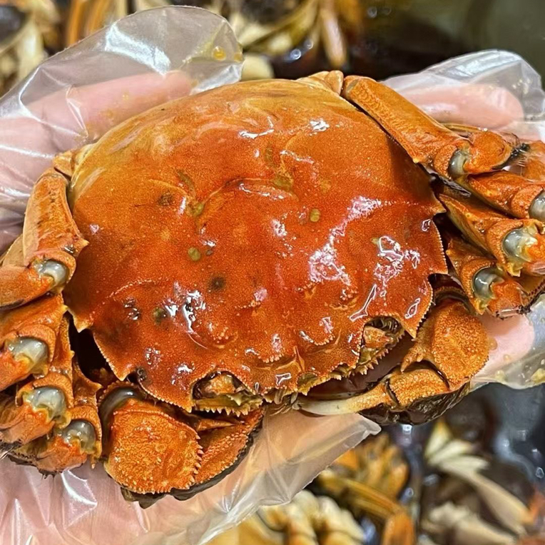 现蒸江苏大闸蟹2.5两母蟹1只