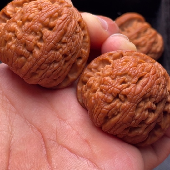 文玩核桃把件11111111111111111