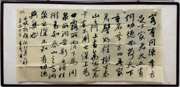 王青彦书法 原陇南书协主席