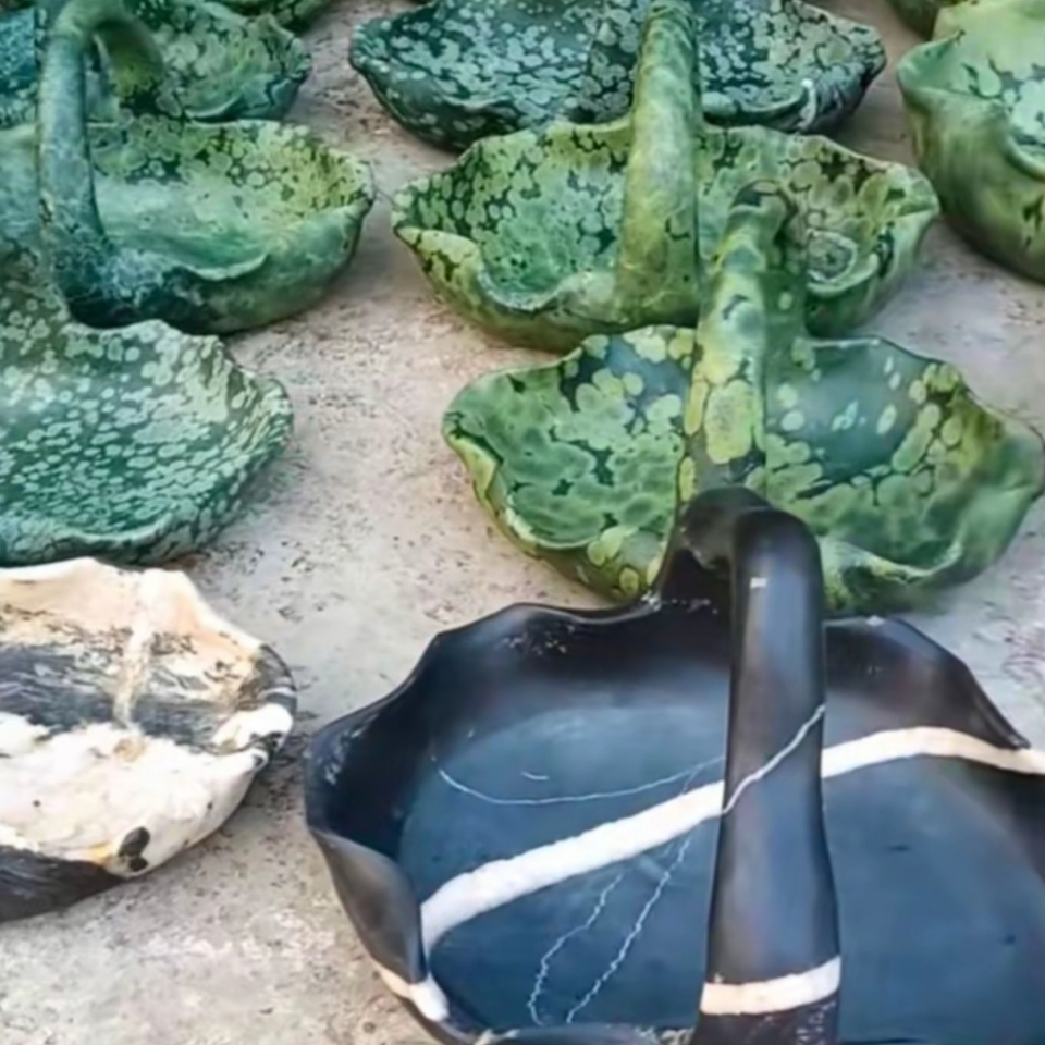 大度河鹅卵石花瓶花盆鱼缸果蓝