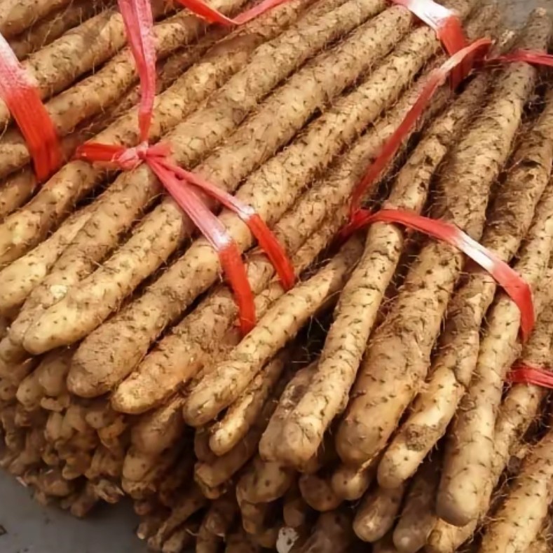 垆土地铁棍山药新鲜原产地现挖现发