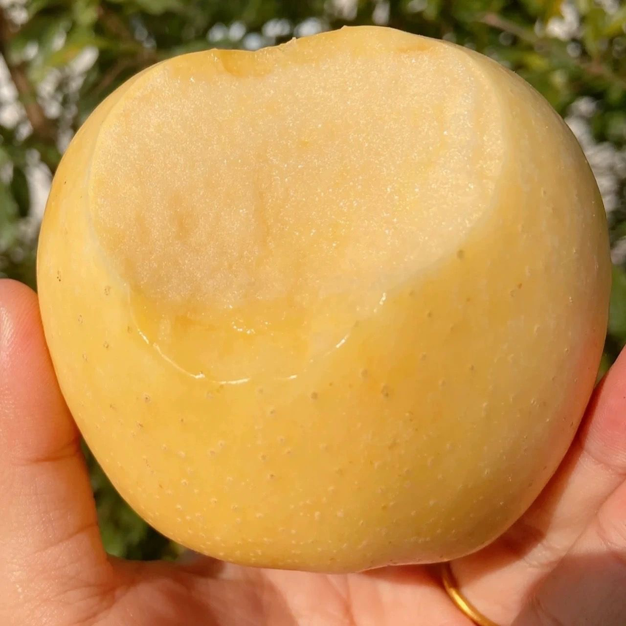 【陆月甄选】黄胖子维纳斯苹果，脆甜可口，3斤顺丰包邮山东省