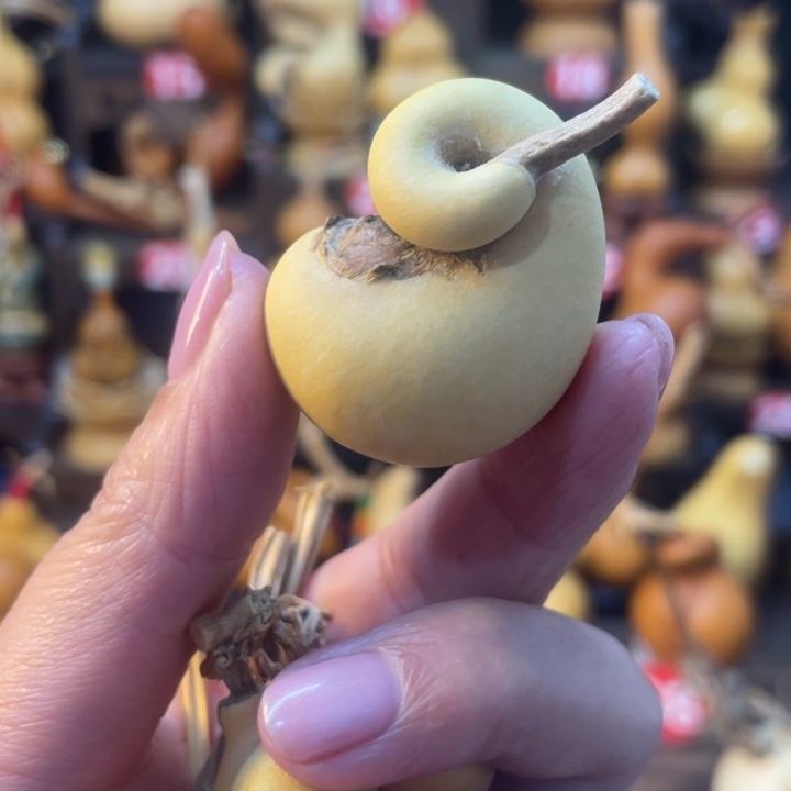 觿***猪蜗牛腰子葫芦葫芦